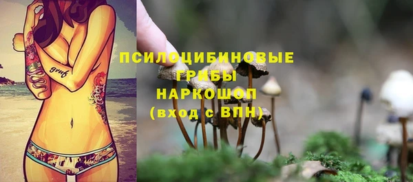 гидра Сатка
