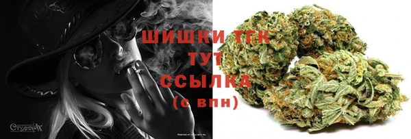 гидра Сатка
